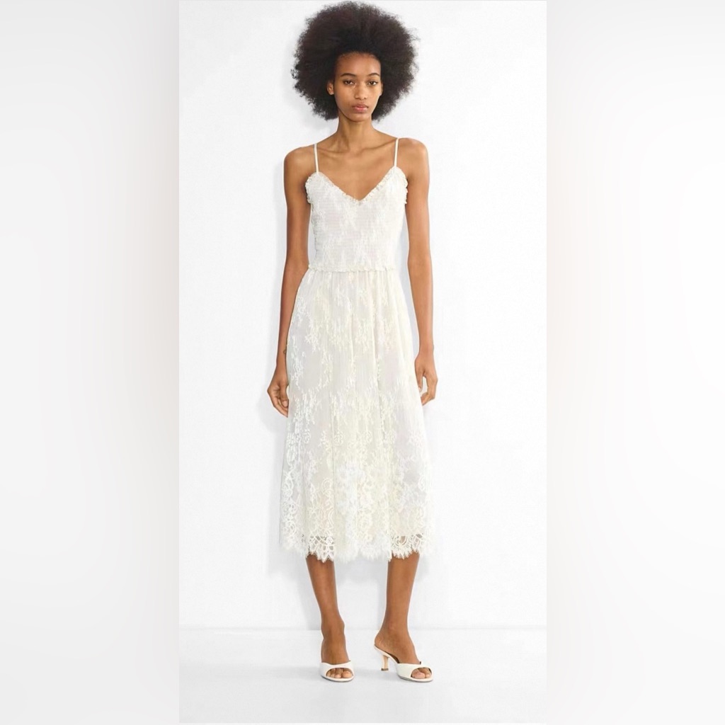 Aritzia Wilfred Tuberose Dress | Lace Dress